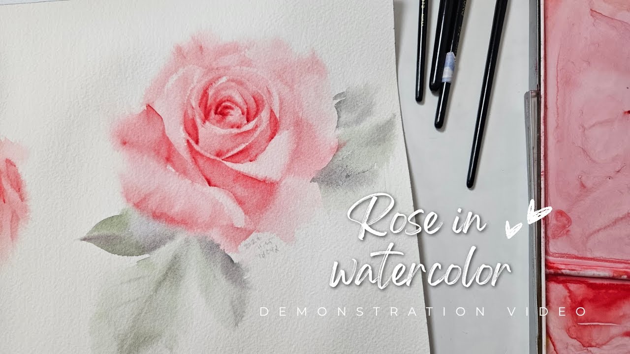 Eng Sub) 하늘하늘한 장미그리기 (시연영상) Roses in watercolor without drawing
