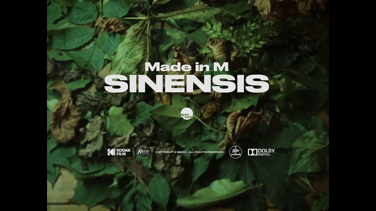 Made in M &ndash; Sinensis