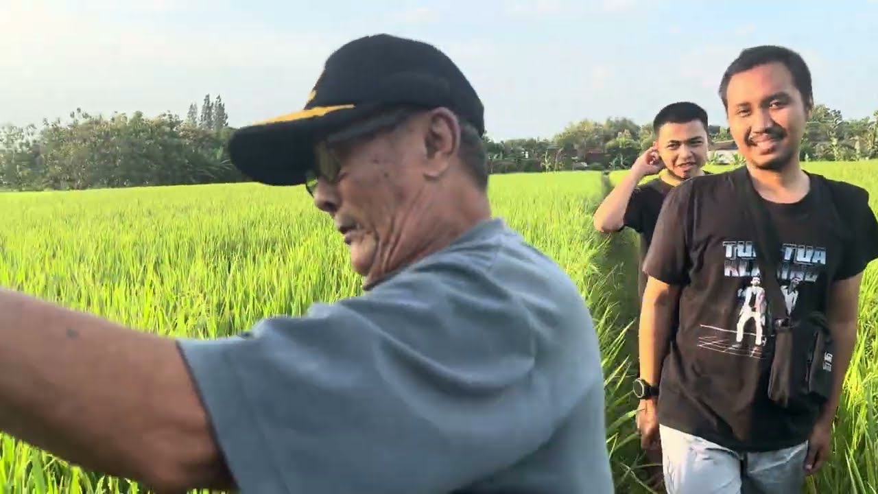spill sawah e pak’e yg “tidak boleh dijual sampe kapanpun” | maaf ya mba luna ini ngga dijual hihihi