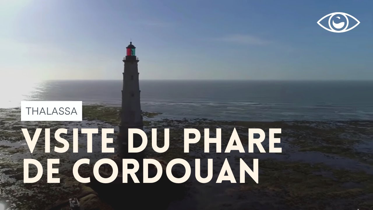 Visite du phare de Cordouan - Thalassa