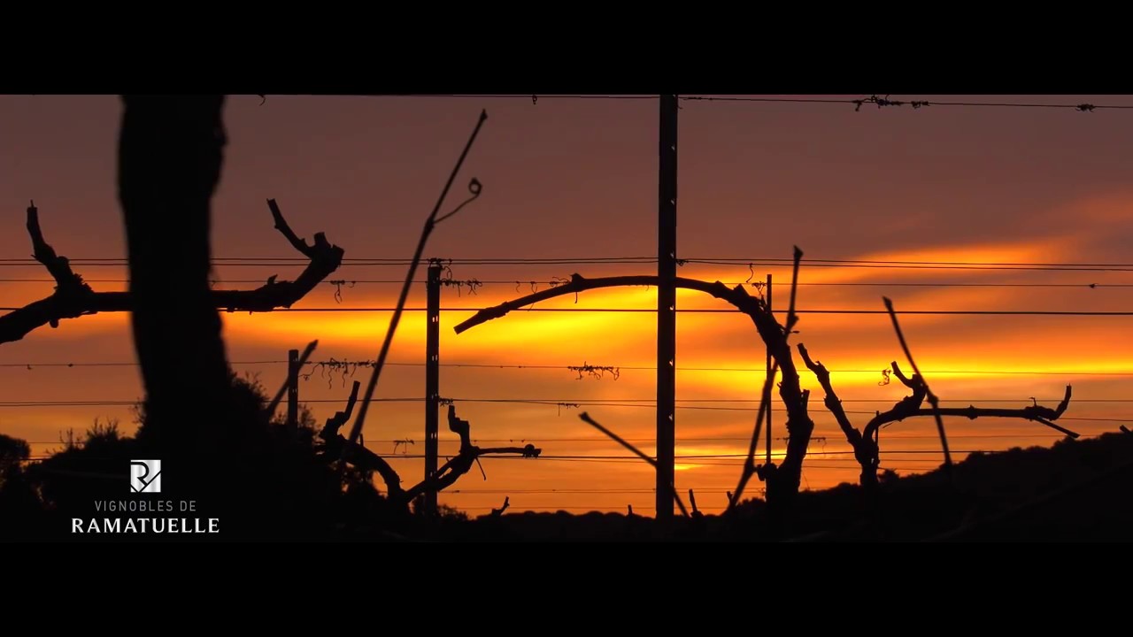 LES VIGNOBLES DE RAMATUELLE