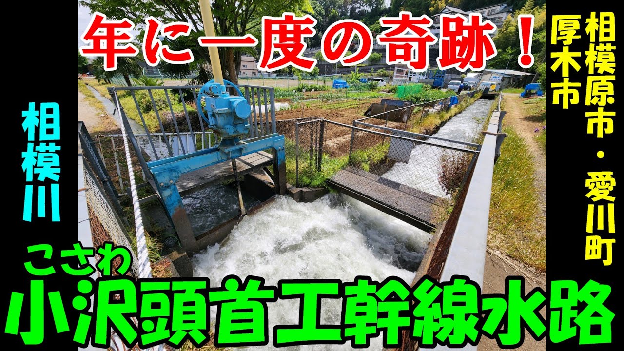 小沢頭首工幹線水路を踏破してみた