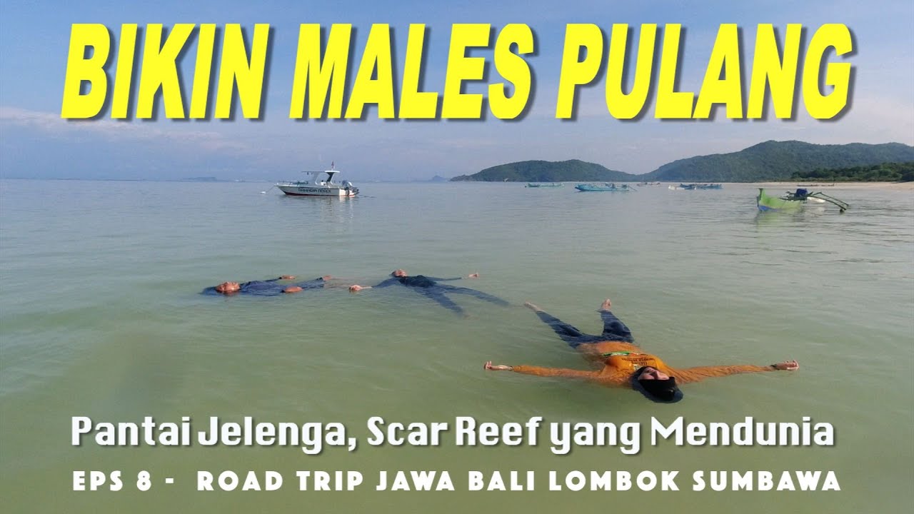 Road Trip Depok Sumbawa 8: Pantai Jelenga, Scar Reef yang Mendunia | Pantai Maluk | Pantai Tropical