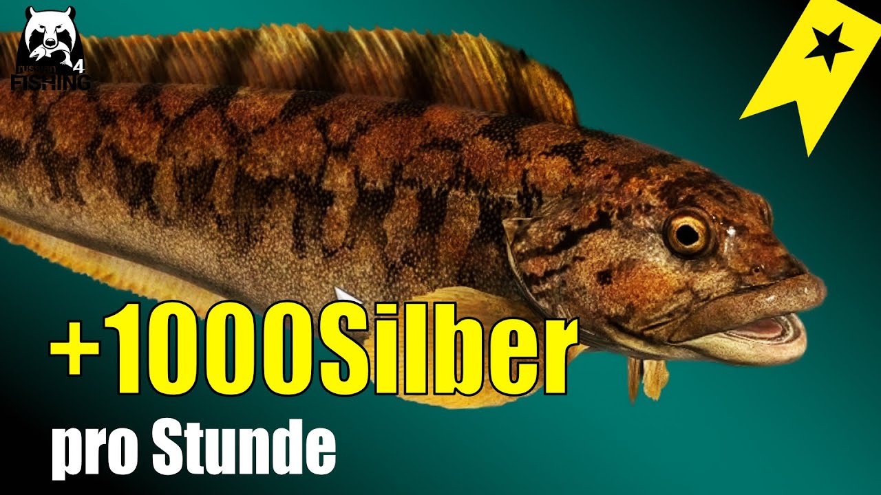Russian Fishing 4 - Nordmeer -  Einfach Silber machen! 1000+/Std.