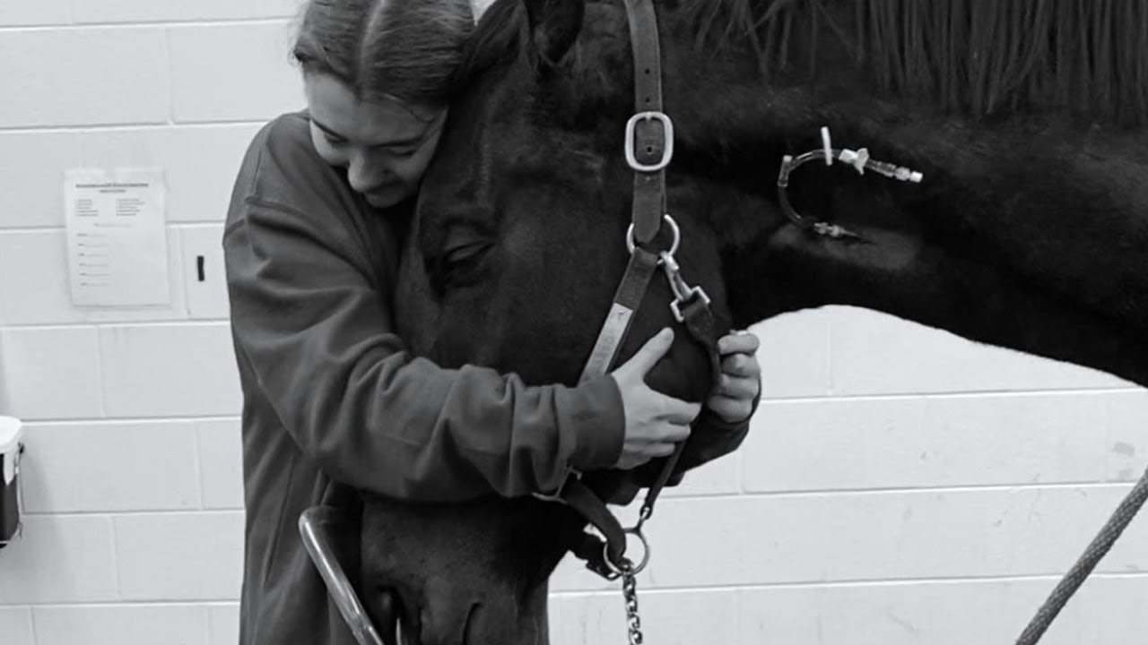 Rest in Peace, My Angel Pico♡