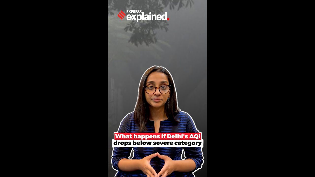 Explained: Delhi's 4-stage Action Plan To Prevent Pollution