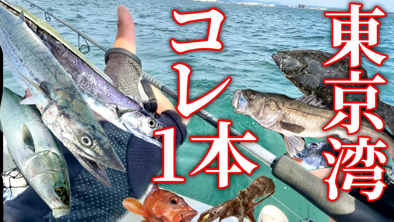 【東京湾ルアー船最強コスパロッド】サワラシーバスマゴチタチウオタコ黒鯛ヒラメアカハタ……