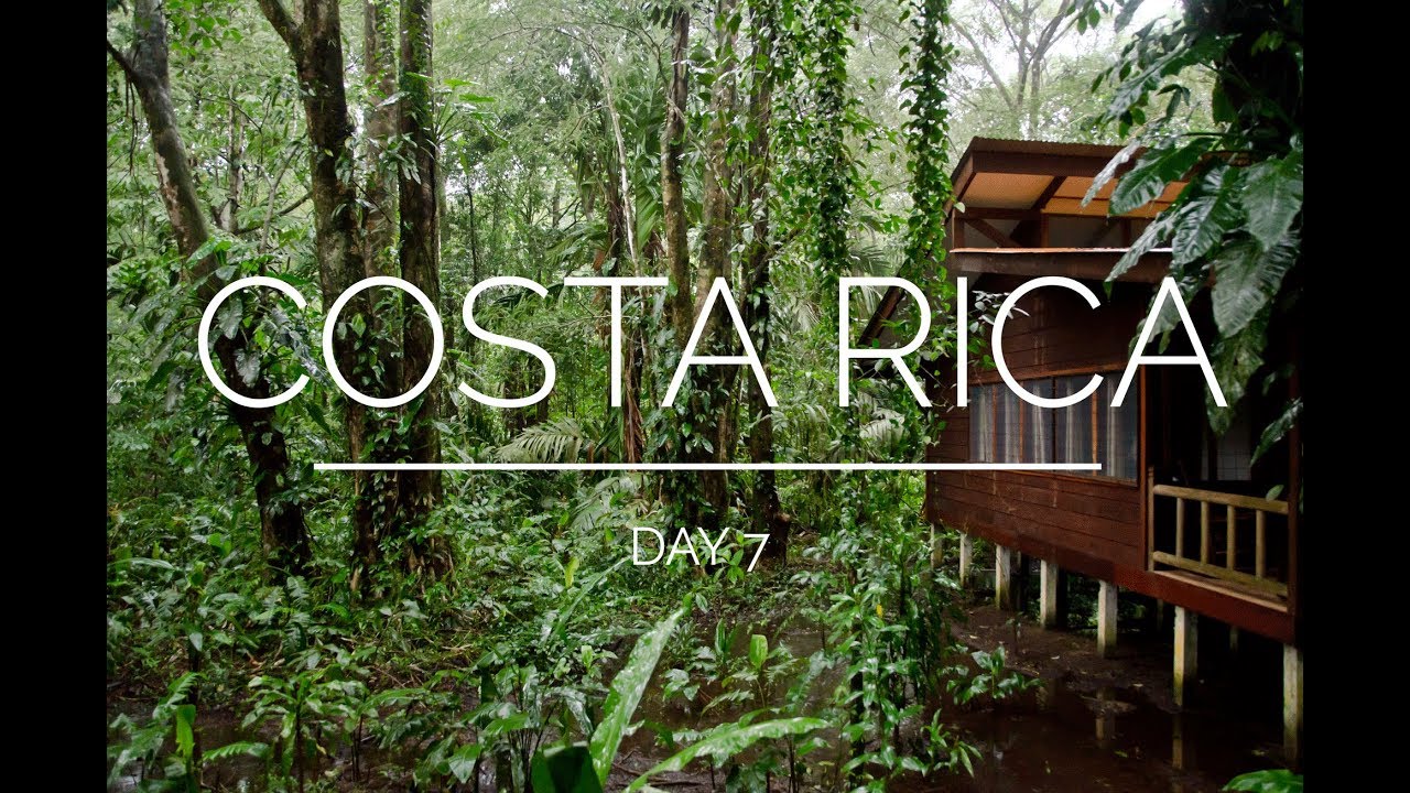 Costa Rica Day 7: Tortuguero arrival (Evergreen Lodge)