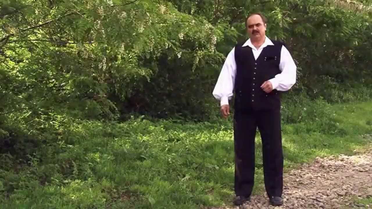 Ábrám Tibor