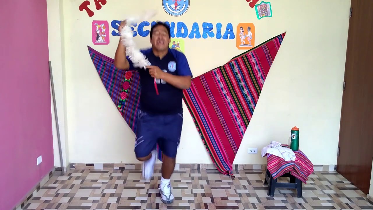 TEMA: DANZA SINKUY SECUENCIA N° 1 DE PASOS