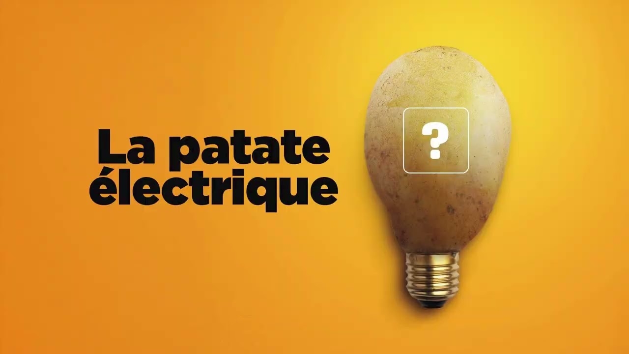 La patate électrique : une expérience ludique pour cultiver la curiosité !