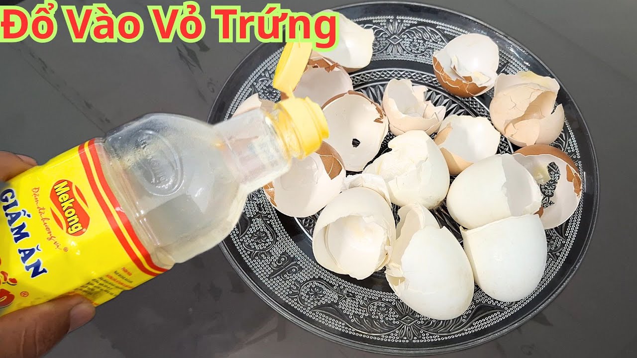 Chỉ Cần Đổ Giấm Vào Vỏ Trứng.Bạn Không Còn Phải Tốn Tiền Ở Chợ Nữa.2 Công Dụng Tuyệt Vời Từ Vỏ Trứng