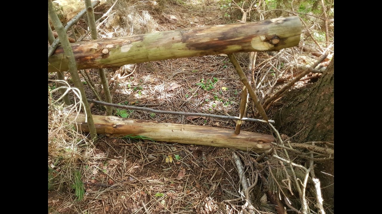 Old Swedish figure four deadfall for capercaillie and black grouse