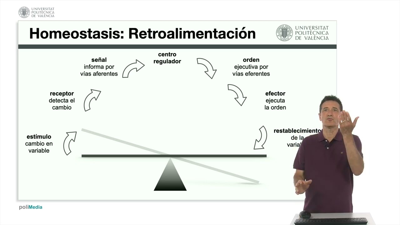 La homeostasia y sus mecanismos de control |  | UPV