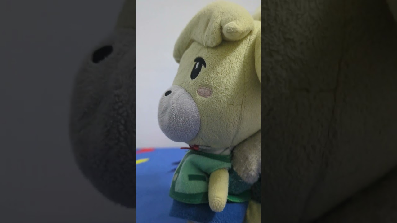 Plush Review #54 Animal crossing Isabelle Plush #animalcrossing #isabelle #nintendo #shorts #plush