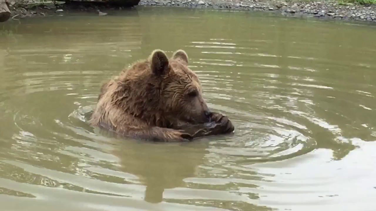 Our Jenny....she has so much personality this bear!