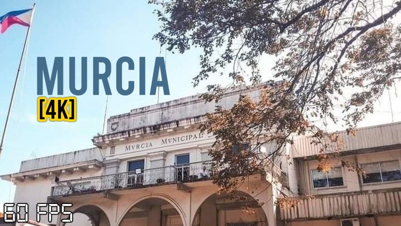 Murcia [4K] 60FPS #ByDay / Negros Occidental #Walk 🇵🇭