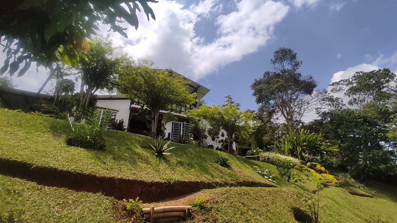 jhoana Mazabel #colombia#venta REF 08 🏡hermosa finca en venta en el 30 borreroayerbe