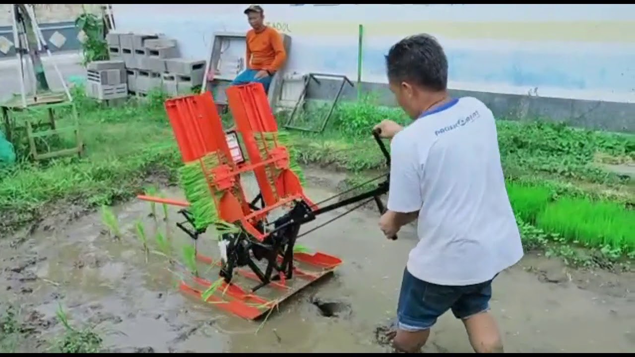 Uji Alat Tanam Padi Manual buatan sendiri
