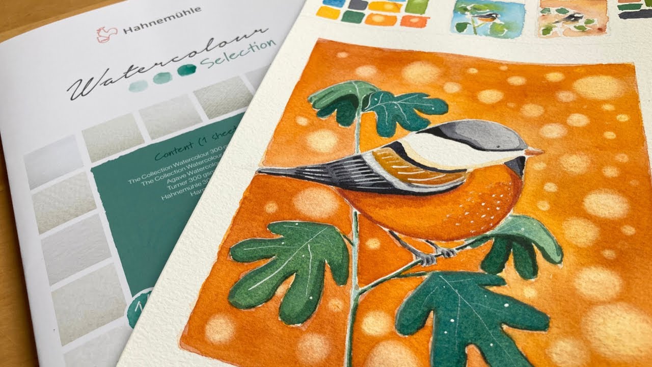 Hahnemühle The Collection watercolor paper 300gsm review | Bird illustration | Watercolor selection