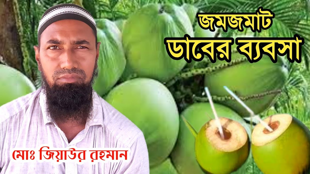 ডাবের রাজা কুলফি ডাব || জিয়াউর রহমান ব্রীজ রোড মহাদেবপুর নওগাঁ || ভালো মানের ডাব বিক্রয় হচ্ছে 