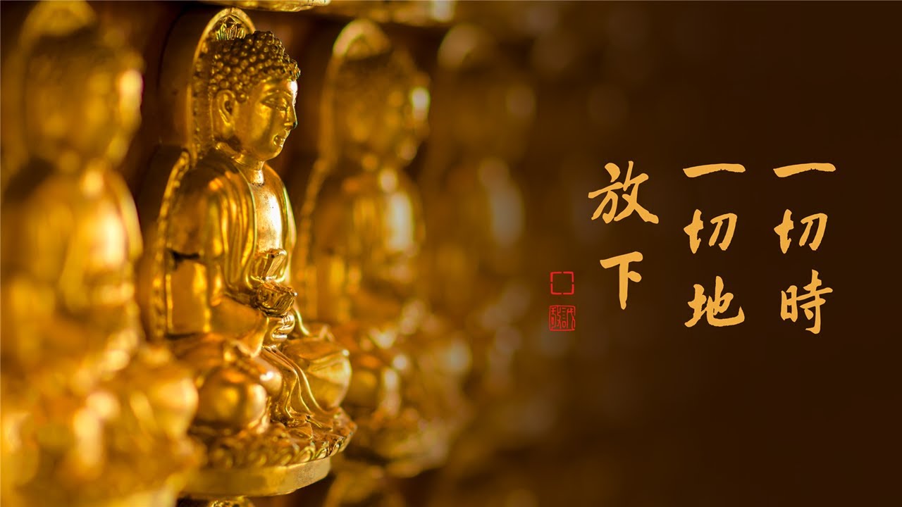 淨語錄 | 從初發心到如來地，都是用這個方法