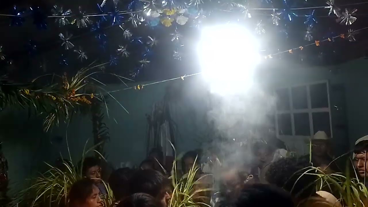 Costumbre en palo verde 