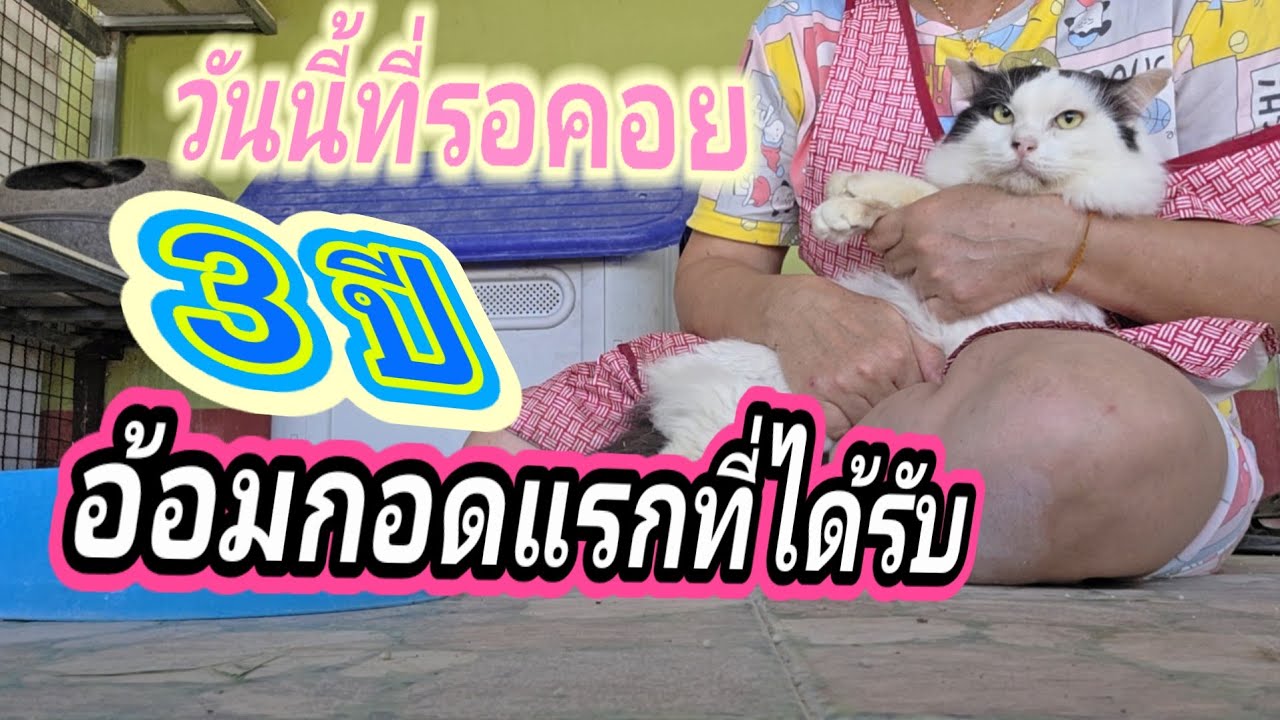 3ปีกับวันนี้ที่รอคอย อ้อบกอดที่ไม่เคยได้รับจากใคร21.ก.พ.69@cats_home 