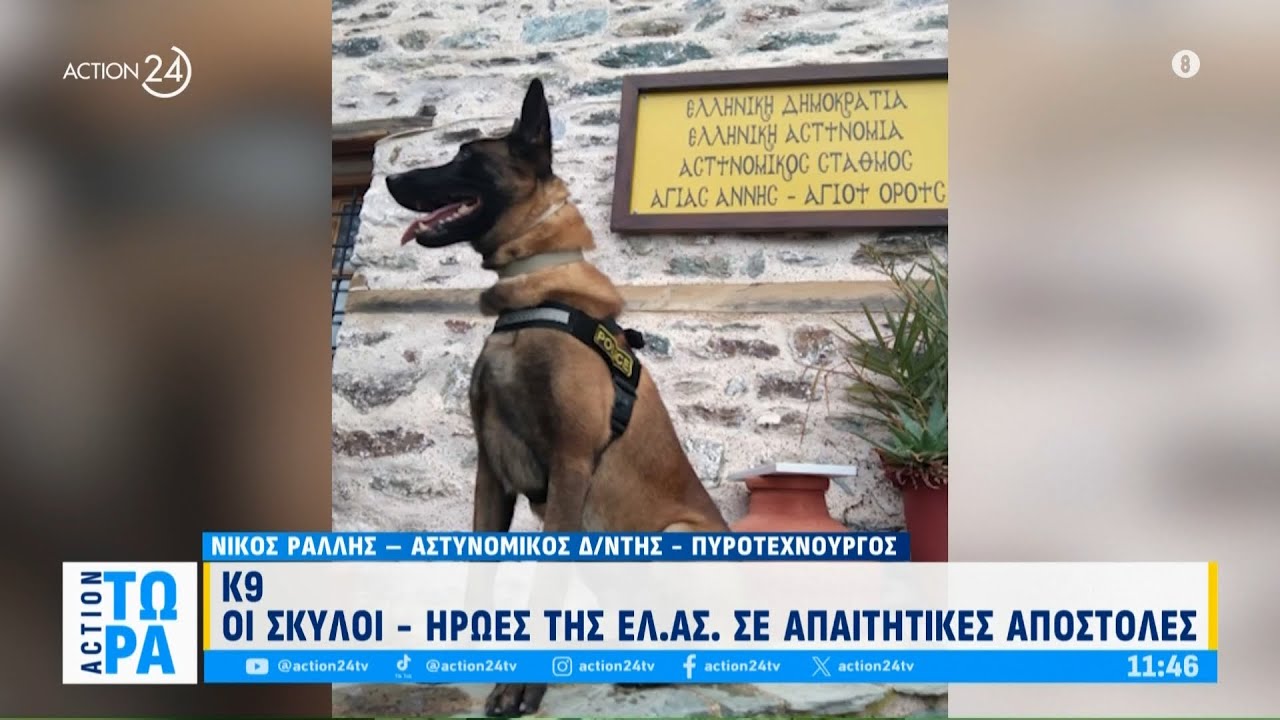 Κ9: Σκύλοι - ήρωες της ΕΛ.ΑΣ. σε απαιτητικές αποστολές | ACTION 24
