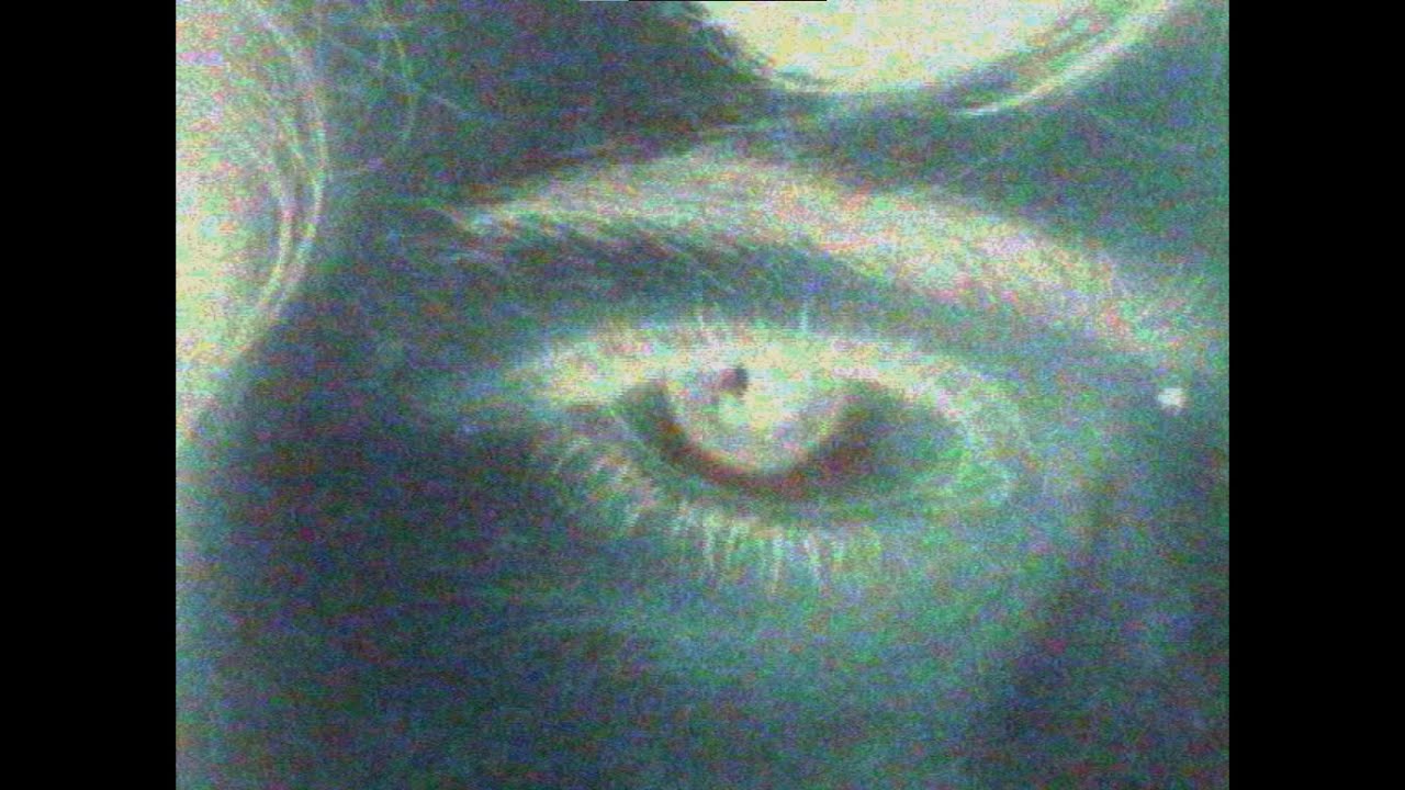 cenzontles - ven y mira