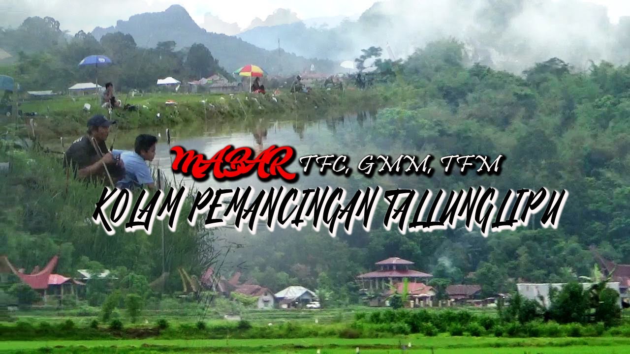 MANCING IKAN MAS DI TALLUNGLIPU TORAJA UTARA BERSAMA REKAN - REKAN ANGLER TORAJA FISHING CLUB