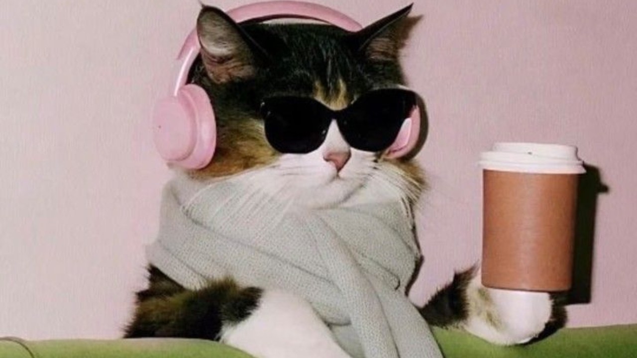 more funky music to caffeinate to | Coffee HOUSE Vol. 3
