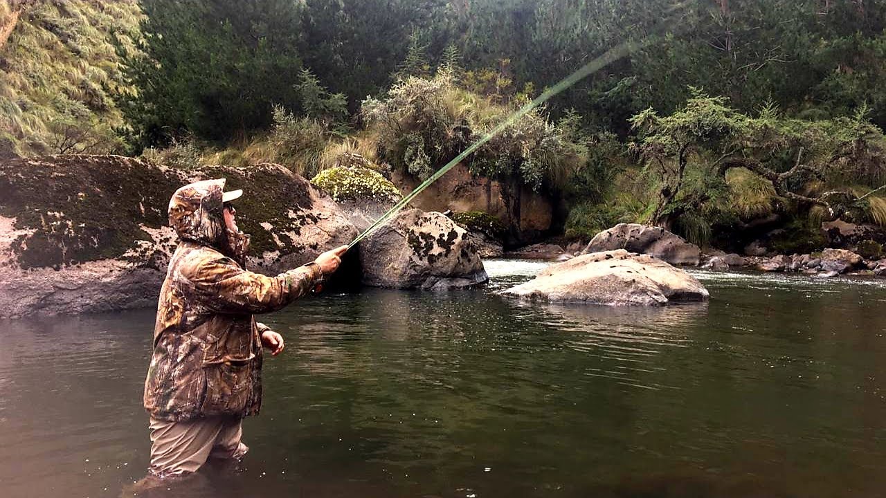 Increíble experiencia pesca de trucha arcoiris  con mosca
