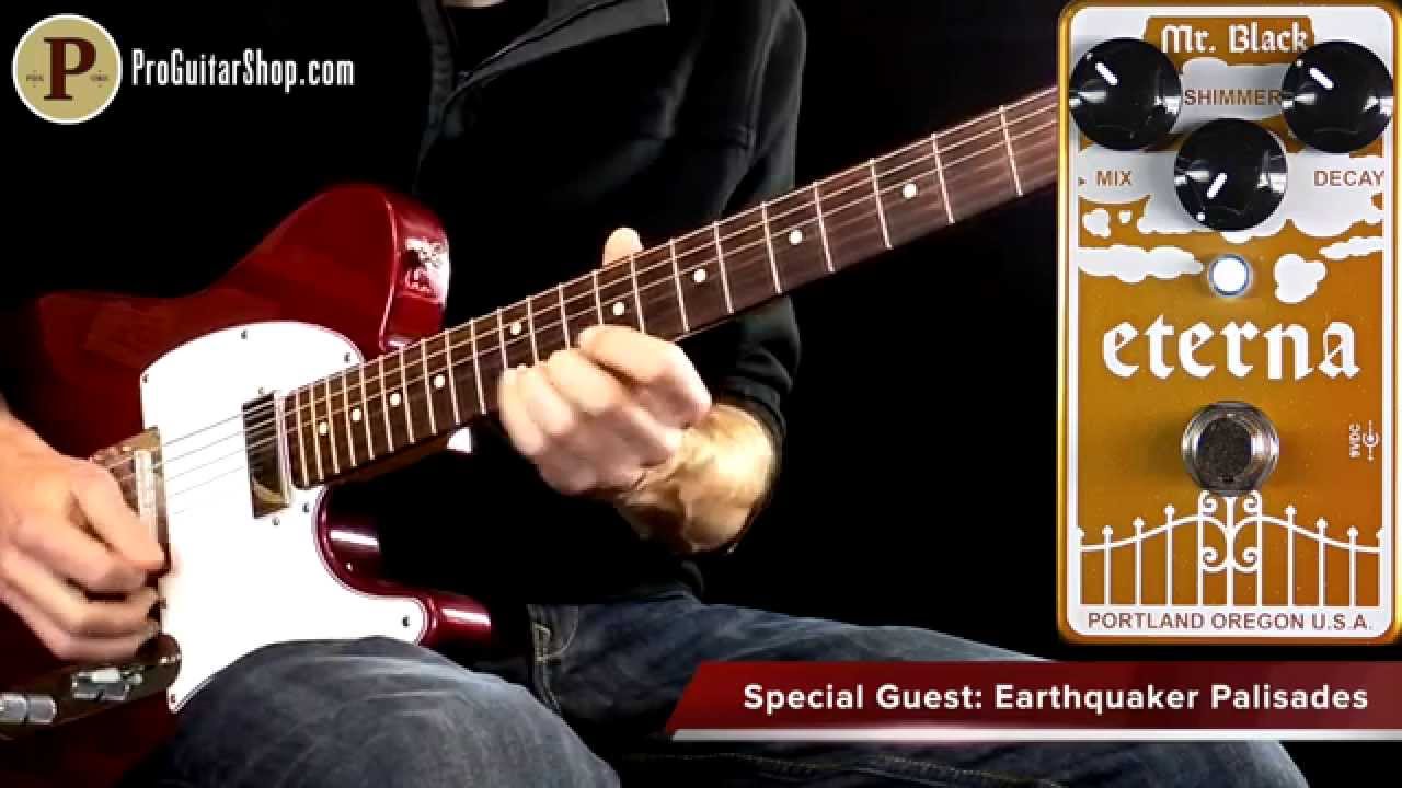 Mr. Black Eterna Gold Modified Reverb
