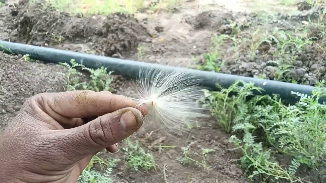 ब्लॉग,। मोटरसाइकिल की सर्विसिंग टायर की। ⚒️        स्प्रे पंप का नोजल रखने का जुगाड़ बनाया, 👈😂🫶