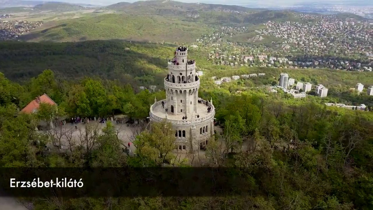 Normafa mad&aacute;rt&aacute;vlatb&oacute;l