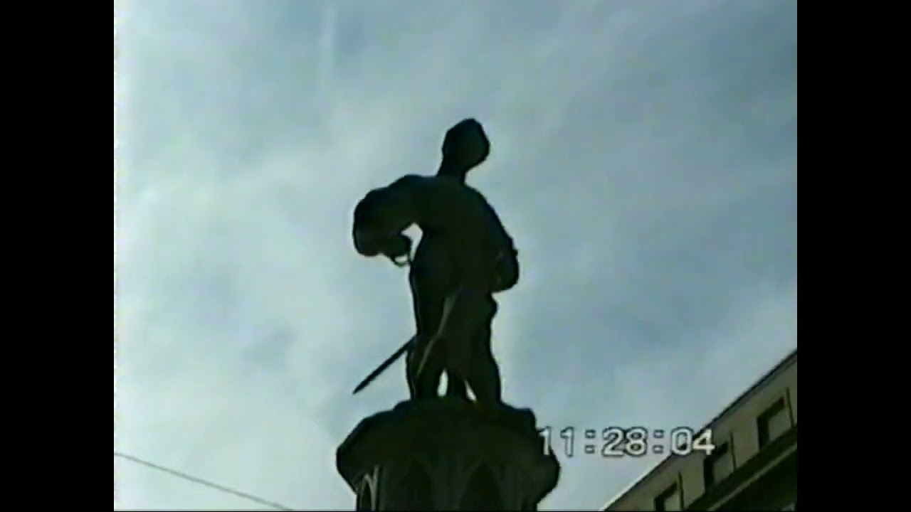 Bern mit OE-DRU 1995