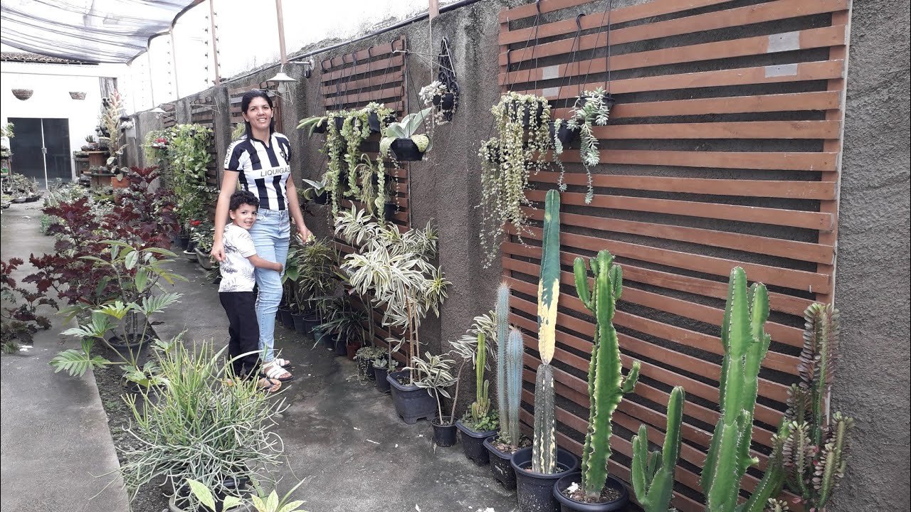 belas plantas na floricultura de José Flor