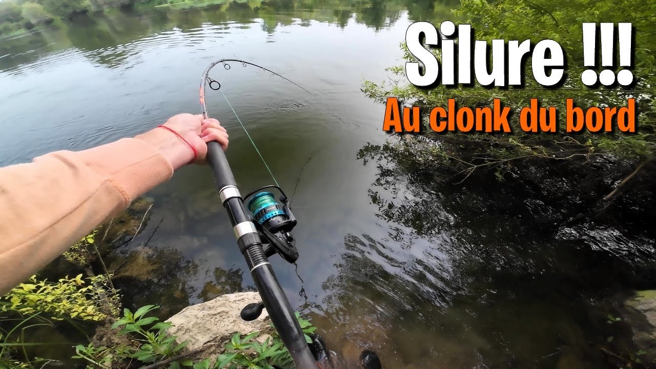 Pêche du SILURE au CLONK du BORD : on fait le tour des spots !!
