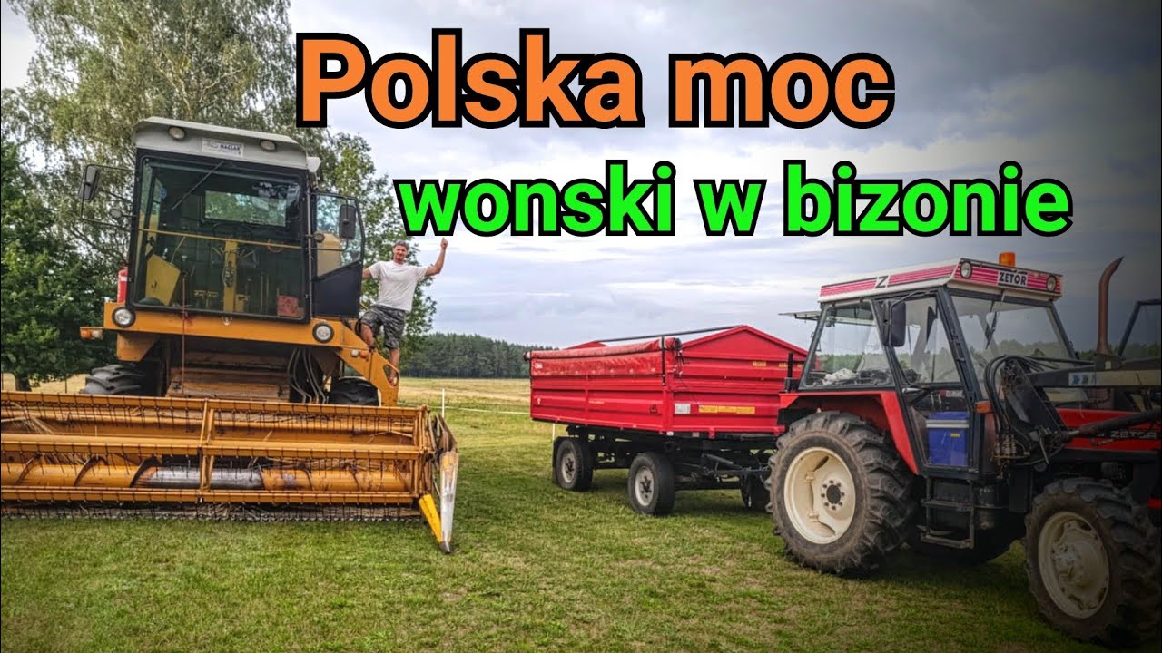 Żniwa 2025 bizon w akcji pierwszy raz za kierownicą bizona 😀