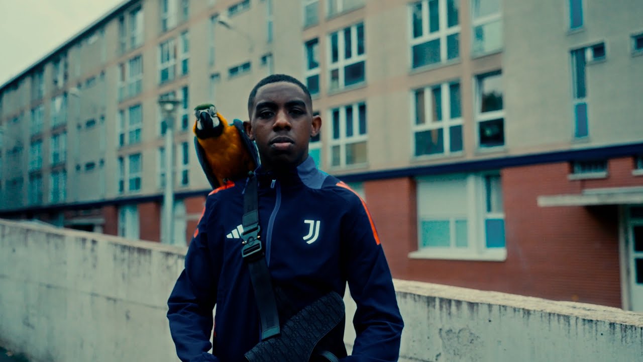 YOKO - Sativa 2 (Clip Officiel)