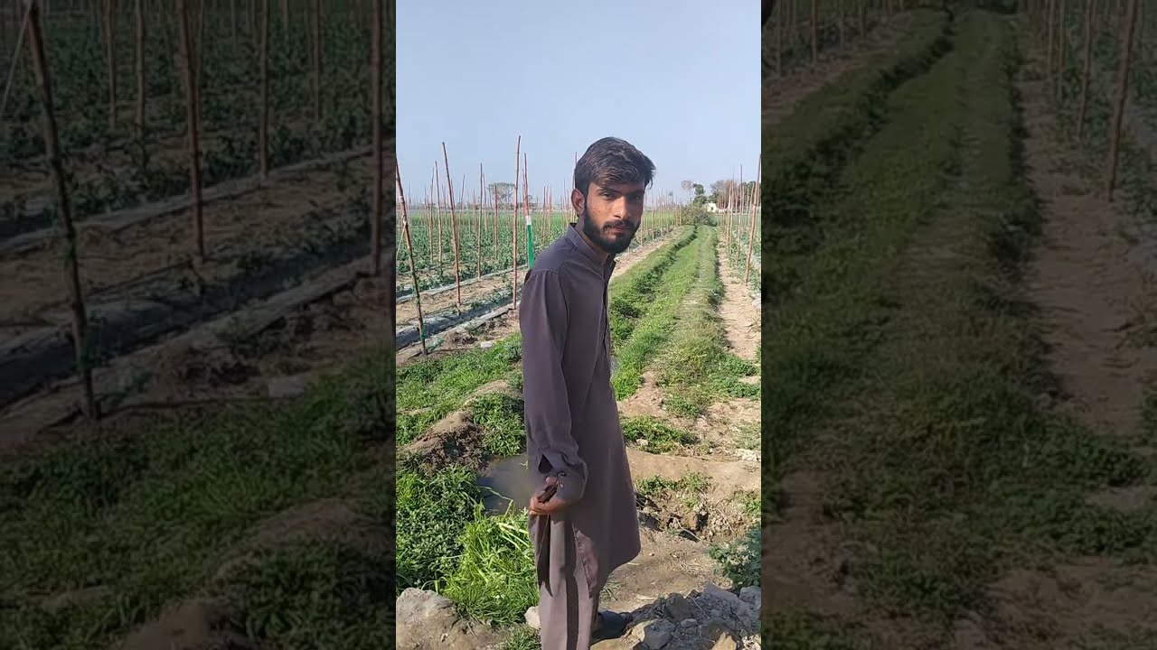 Old Village Mosque Live | Beautiful Prayer Moments #liveperformance #MosqueLive  #viralvideo 