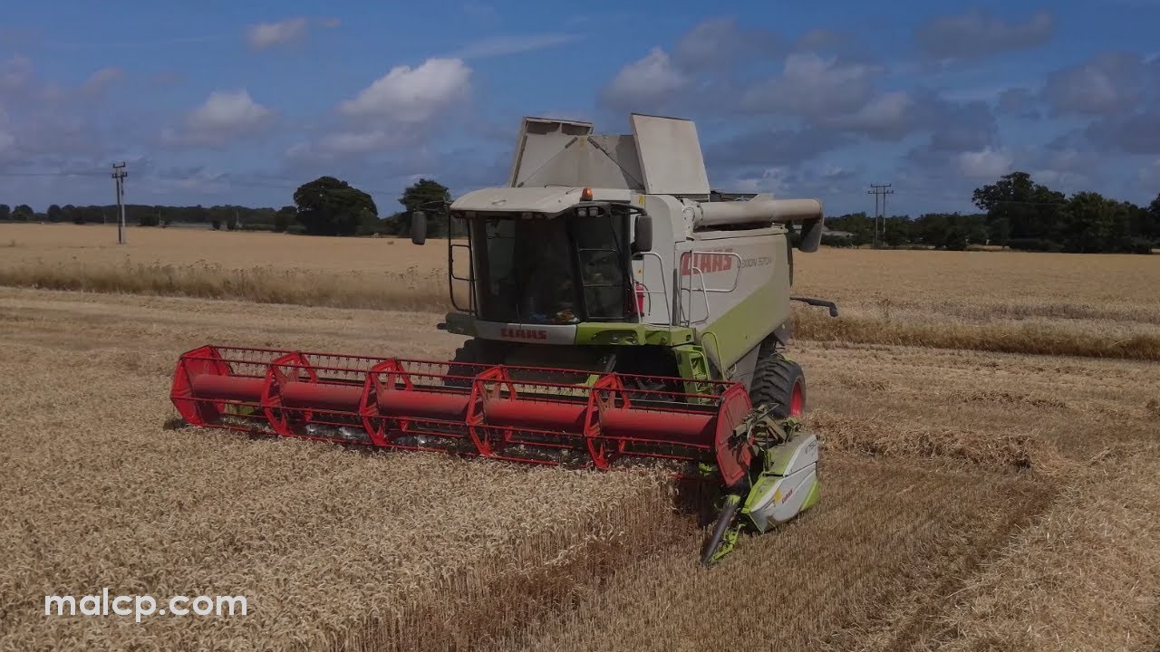 Harvest 2022: Claas Lexion 570+ harvesting wheat in Tunstall