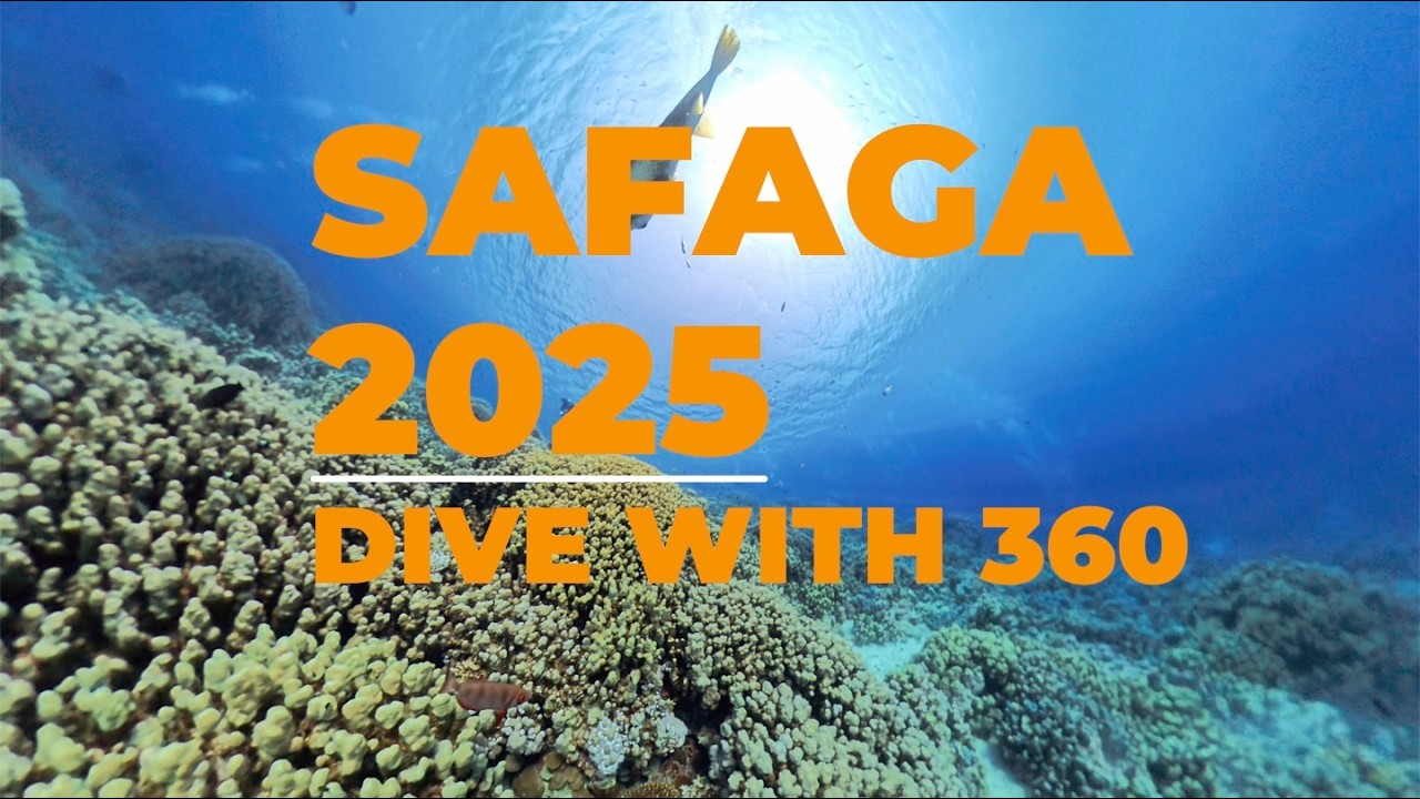 Safaga 2025 Dive With 360