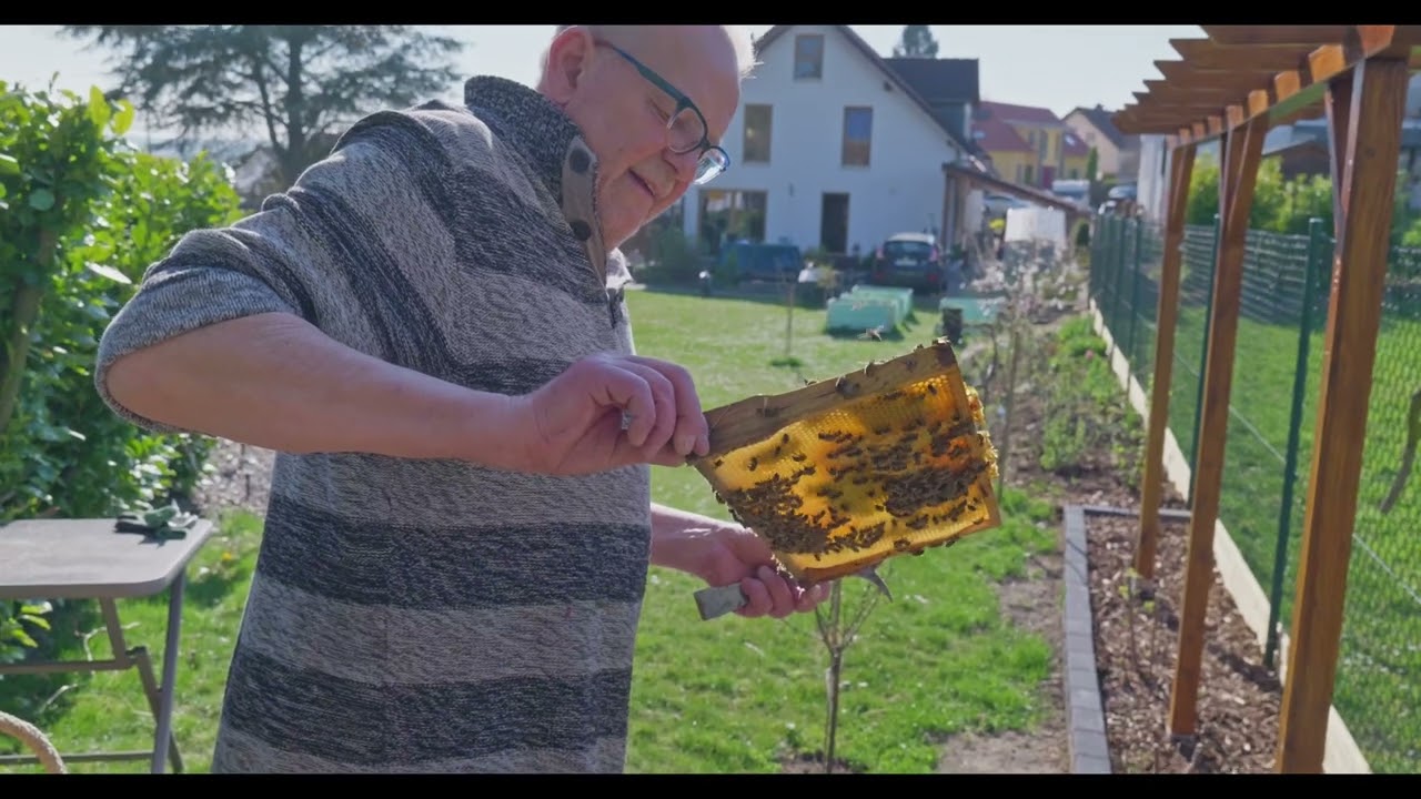 Bienen auswintern 2025