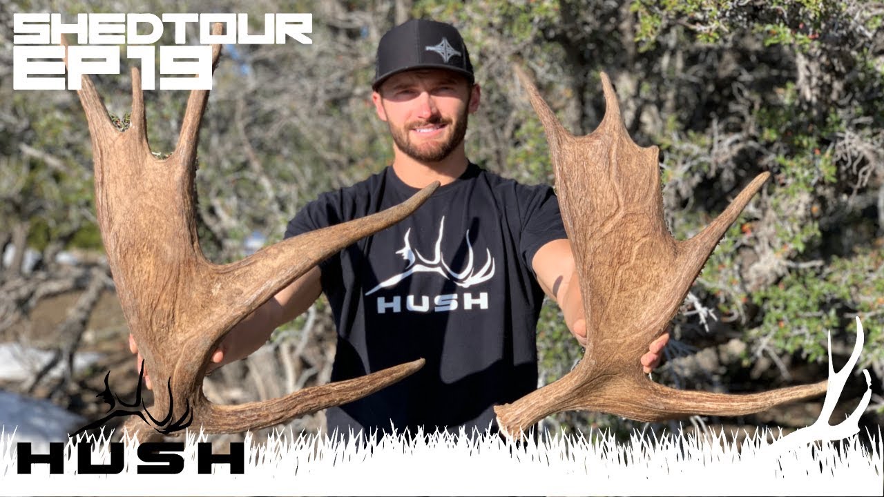 SHED TOUR | SEARCHING THE HIGH COUNTRY FOR MOOSE SHED ANTLERS | S2E19