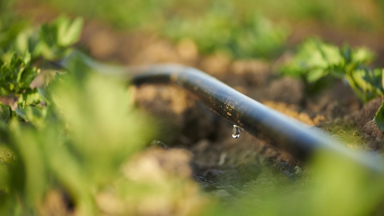 MANICHETTA IRRIGAZIONE AQUA-TRAXX® di TORO AG