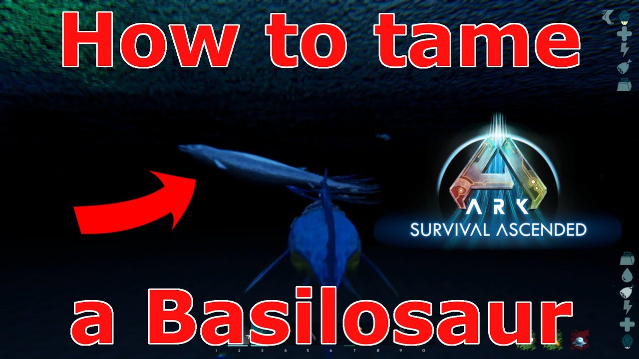 Ark Survival Ascended Basilosaurus taming, Ark How to tame a Basilosaurus, ASA best water tames