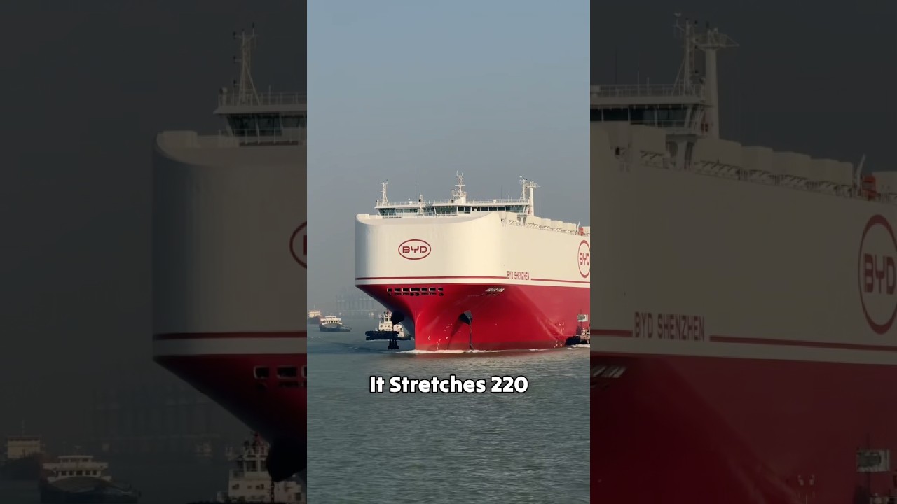 The largest RoRo ship in the world.