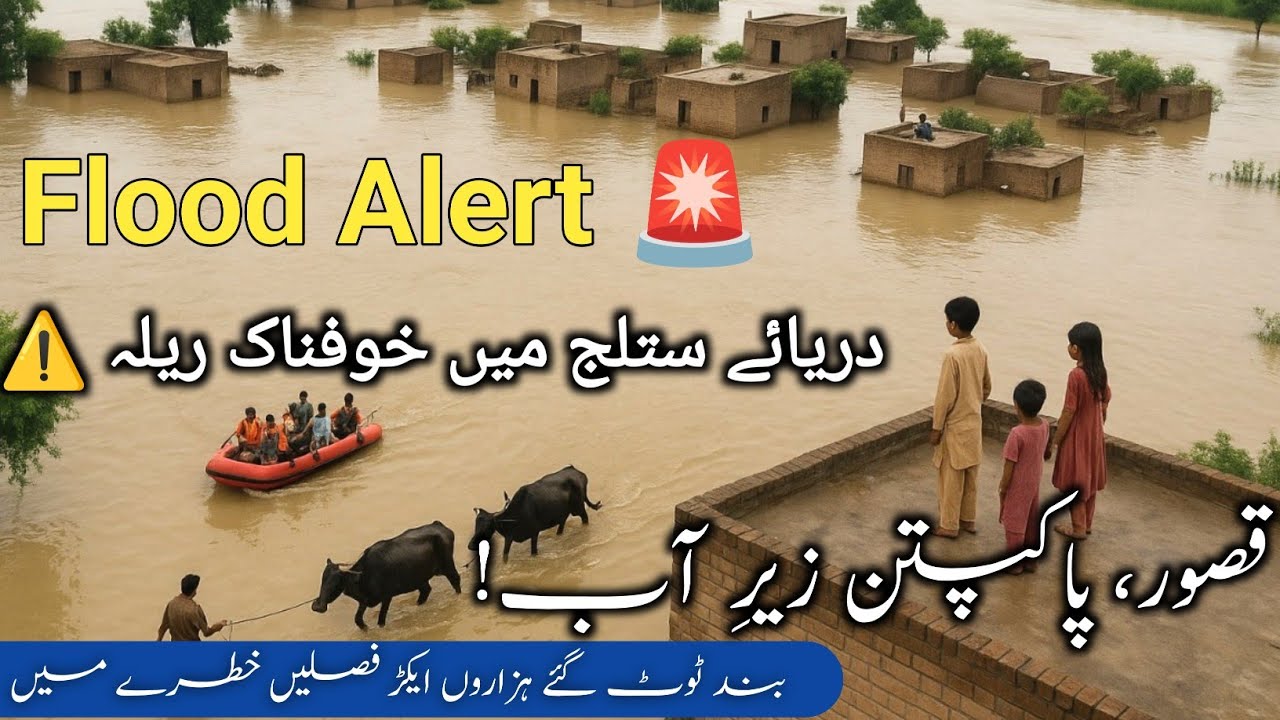 🌊 Flood in River Sutlej | Kasur, Pakpattan and Bhookan Patan Crops Under Water